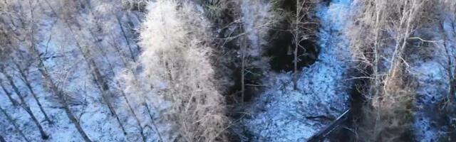 Kohus peatas Kikepera looduskaitsealal toimuvad soostamise tööd