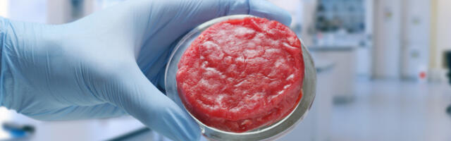 Maailma Majandusfoorum soovitab inimestel loobuda liha söömisest