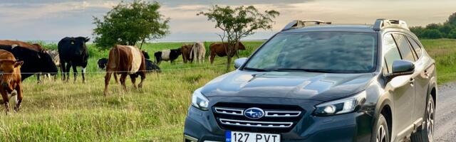 Subaru ronis usaldusväärseimate autode pingerea tippu