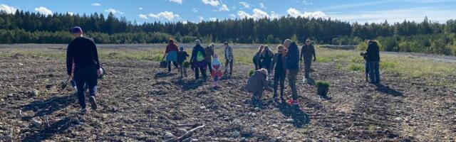 PÄEVA PILT ⟩ Lüganuse valla inimesed istutasid karjääri pool tuhat puud