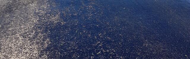 Transpordiamet hoiatab: Jätkuvad kuumad ilmad muudavad teed pigiseks