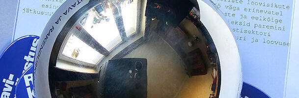 TUNNUSTUS | Kadi-Ell Tähiste teeneid märgiti kuldmunaga