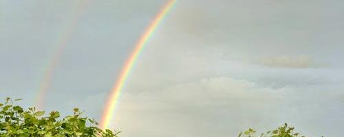 Keskonnaagentuur: juulikuu ilma iseloomustab sõna muutlik