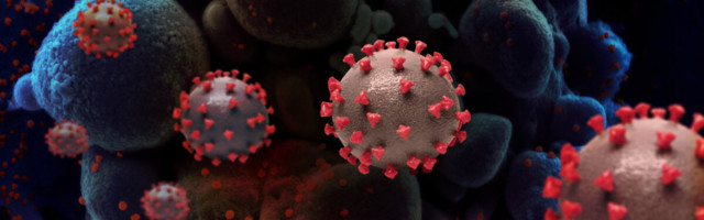 Värske uuring: Eestiski avastatud koroonaviiruse Suurbritannia tüvi on 30–70% tapvam