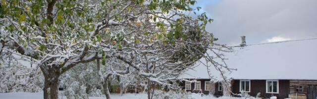 MES-i eluaseme kaaslaen aitab ka tuleval aastal maapiirkonda kodu rajada