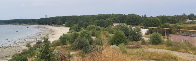 VANA VASK! Alar Mik viskus Haabneeme randa ehitatavate kortermajade kaitsele