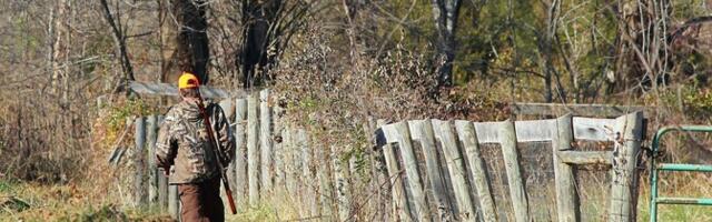 Суд разрешил спор между членами Ремникуского общества охотников