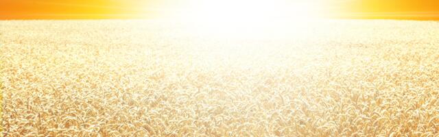 Päevahoroskoop : pühapäev, 27. juuli