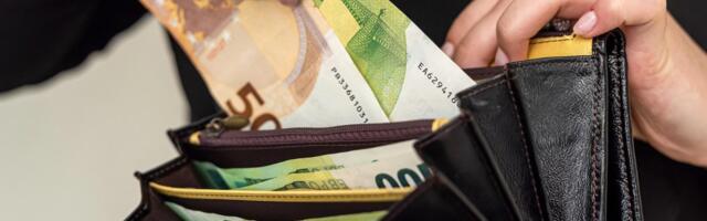 Analüüs: millele kulub eestlase palgaraha?