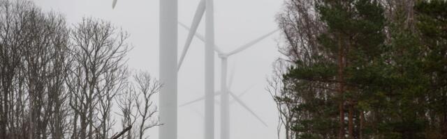 Uued tuulikud hakkavad kohalikele tulu tooma: maksimaalselt võib saada kuue kuu alampalga