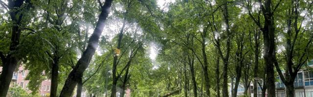 Hollandit tabanud haruldane suvine torm on tapnud ühe inimese