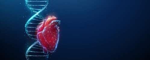 Süda ja geenid – tunne oma riske