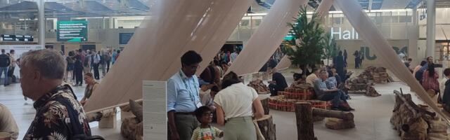 IUFRO 2024 kongress: maailma metsauurijad on metsapoliitika suhtes kriitilised