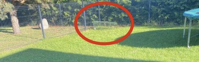 LUGEJA KÜSIB | Kas naaber võib mu lemmiku lõksu püüda?