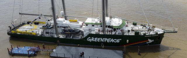 Rohelised kaitsjad või majanduskasvu pidurdajad: kuidas Greenpeace ja WWF takistavad Euroopa tööstuslikku arengut