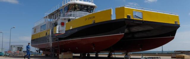 Swedbank: väliskeskkond pakub töötlevale tööstusele sel aastal rohkem võimalusi