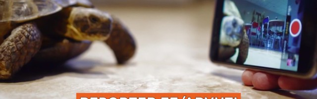 Reporter: Võida jaanipäevaks 1300 eurot maksev MacBook Air!