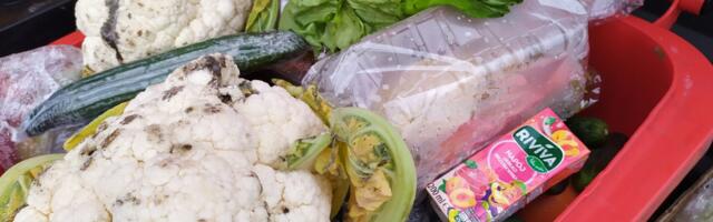 Suunamudija sööb tänu prügikastides sukeldumisele tervislikumalt, kui iial varem