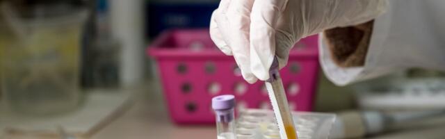 Võimalus õppida kodukohas meelitab Ida-Viru noori tervishoidu