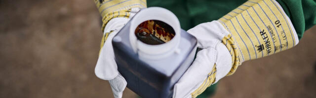 Budapesti lähedalt leiti naftat