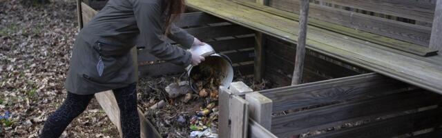 ROHEKÄRBE PEALINNAS | Tallinna linnavalitsus otsustas lõpetada elanikelt aiajäätmete tasuta vastuvõtmise – asi muutub tasuliseks 1. jaanuarist