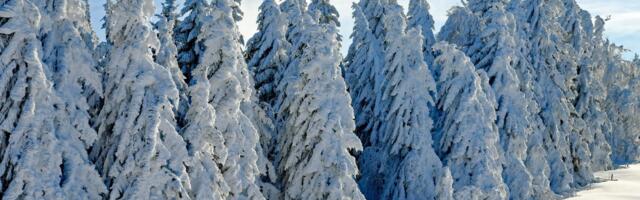 Päevahoroskoop : esmaspäev, 23. veebruar