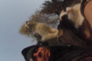 Usk, mida saab panna sõnadesse