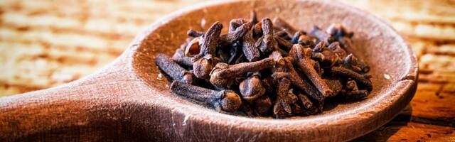 Teadlased avastasid loodusliku pohmelliravimi