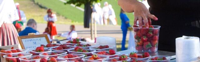 Hooajatöötaja registreerimiseks piisab sõnumist