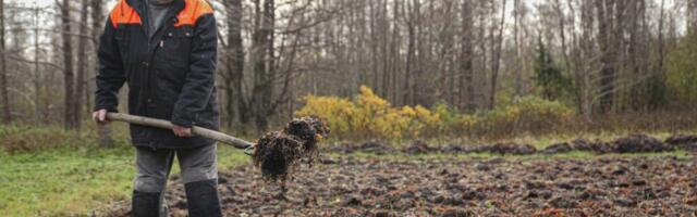 ADRU VÄETISEKS | Meretaimede mitmekesine maailm