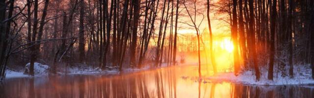 Talvine päevapesa läheneb