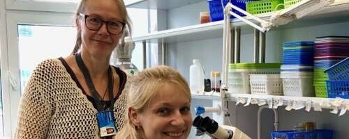 TalTechi neuroteadlased kasutavad äädikakärbest ajuhaiguste uurimiseks