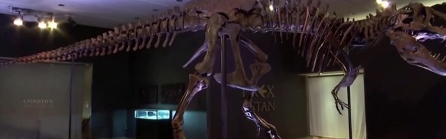 Reporter: Stan´i luustik müüdi üllatuslikult suure summa eest