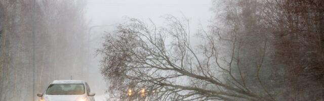 ILMATEADE | Nädala lõpuks võtab võimust jõuline tuul