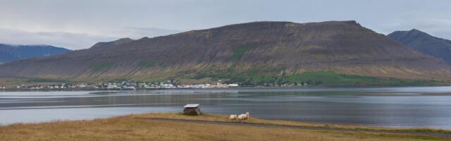 Kuidas turundada ökoloogilist katastroofi