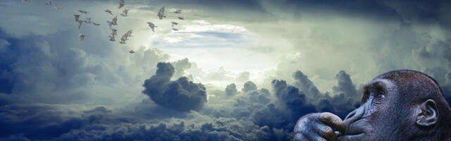 Paljastatud kaugmõjutamise saladused. 2. osa. Sulle on antud võime enda ja kogu maailma päästmiseks