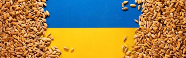 VIDEOD | Poola põllumehed kallavad Ukrainast toodud vilja maha