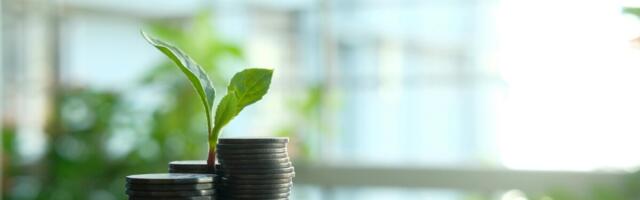 Kevadel avanevad uued investeeringutoetused