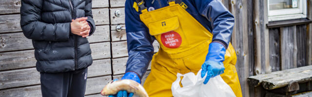 Neli sadamat ootavad külastajaid