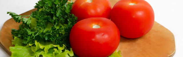 Suur toit, suur vandenõu