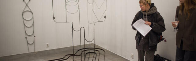 Pildid: soome skulptorid avasid Hobusepea galeriis näituse "Amuse"