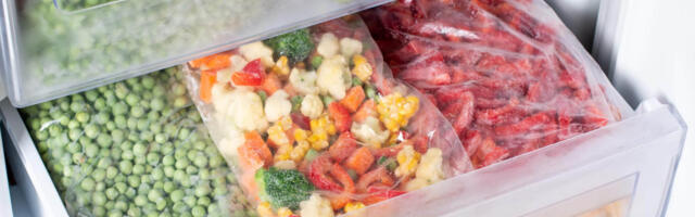 NÕUANDED I Kuidas muuta sügavkülmik igapäevaseks abiliseks?