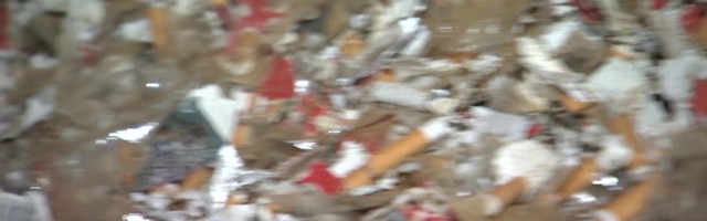 Reporter: Tallinna lähistel hävitati 9.6 miljonit salasigaretti