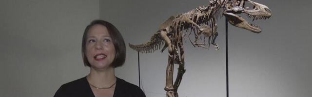 Konto ajab üle? Osta endale dinosaurus või tükike kuud!