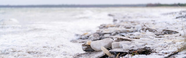 Heltermaal purunesid kolme kuu soojarekordid