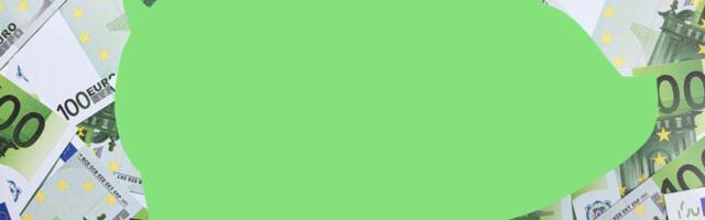 Viimsi valla 2025. aasta eelarve maht on 78,9 miljonit eurot