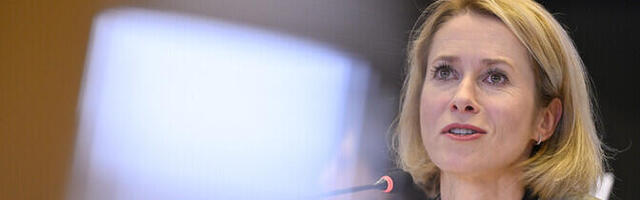 Кая Каллас сделала очередное заявление на тему поддержки Украины