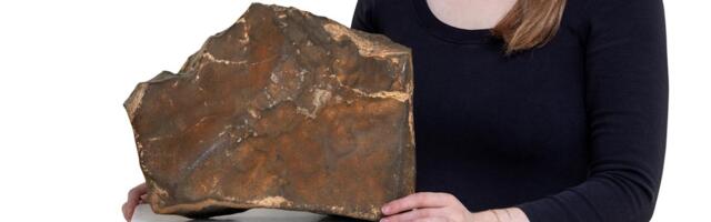 Someone paid $5.3 million for a piece of Mars Someone paid $5.3 million for a piece of Mars