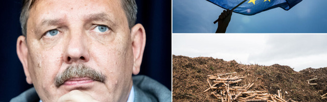 Taavi Aas EL-i kliimapaketist: bioenergiat ei tohi demoniseerida. Kuidas saame elektrit, kui tuul ei puhu ja päike ei paista?