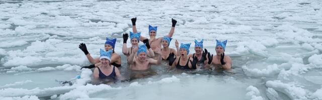 Eesti kaardile sai 96 taliujumiskohta